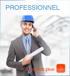  Professionnel 